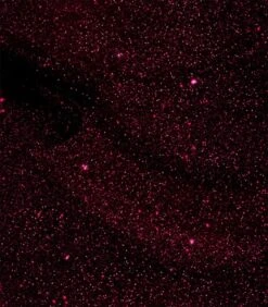 Pink Gellac - Dramatic Red - Gellak - Vegan - Rood - Shimmer Finish - 15 Ml 7 Pink Gellac - Dramatic Red - Gellak - Vegan - Rood - Shimmer Finish - 15 Ml -Cosmetische Kortingen Winkel 1050x1200 47