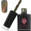 #CHAMPAGNECATEYE - Influence Gellac - Gouden Gellak - Gellak Goud UV - Cat Eye - UV Gellak - Gel Nagellak - Gellac - Kado Vrouw - Valentijns Cadeau - Kado Voor Haar - 10 Ml - Inclusief Magneet -Cosmetische Kortingen Winkel 1103x1200 5