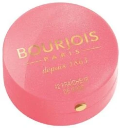 Bourjois Little Round Pot Blush - 54 Rose Frisson -Cosmetische Kortingen Winkel 1129x1200 5