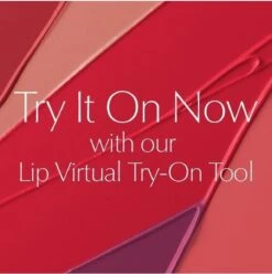 Estée Lauder Pure Color Envy Sculpting Lipstick - 340 Envious -Cosmetische Kortingen Winkel 1193x1200 10