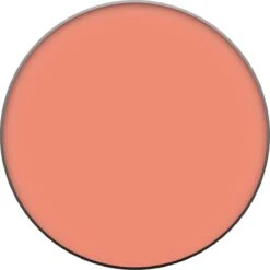 L’Oréal Paris True Match - 160 Pêche - Blush -Cosmetische Kortingen Winkel 1199x1200 9