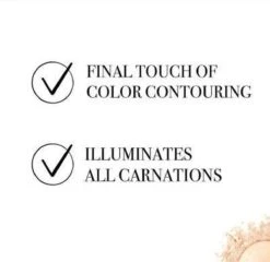 Bourjois Le Petit Strober Highlighter - 00 Universal Glow -Cosmetische Kortingen Winkel 1200x1164 24