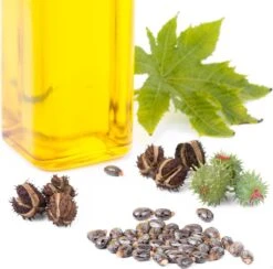 Lanthome Wimperserum - Met Castor Olie -Cosmetische Kortingen Winkel 1200x1185 5