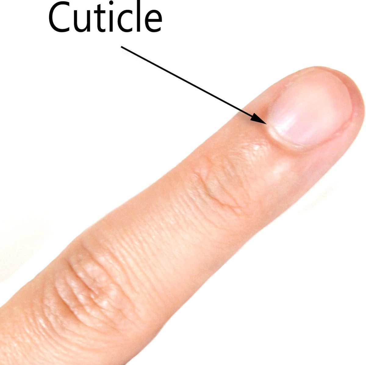 Merkloos Metalen Bokkenpoot / Cuticle Pusher / Nagelriemduwer / Bokkenpootje 4 Merkloos Metalen Bokkenpoot / Cuticle Pusher / Nagelriemduwer / Bokkenpootje - Afbeelding 2