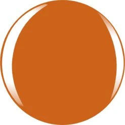 L’Oréal Paris Color Riche Le Vernis - 303 Lush Tangerine - Oranje - Nagellak -Cosmetische Kortingen Winkel 1200x1197 55