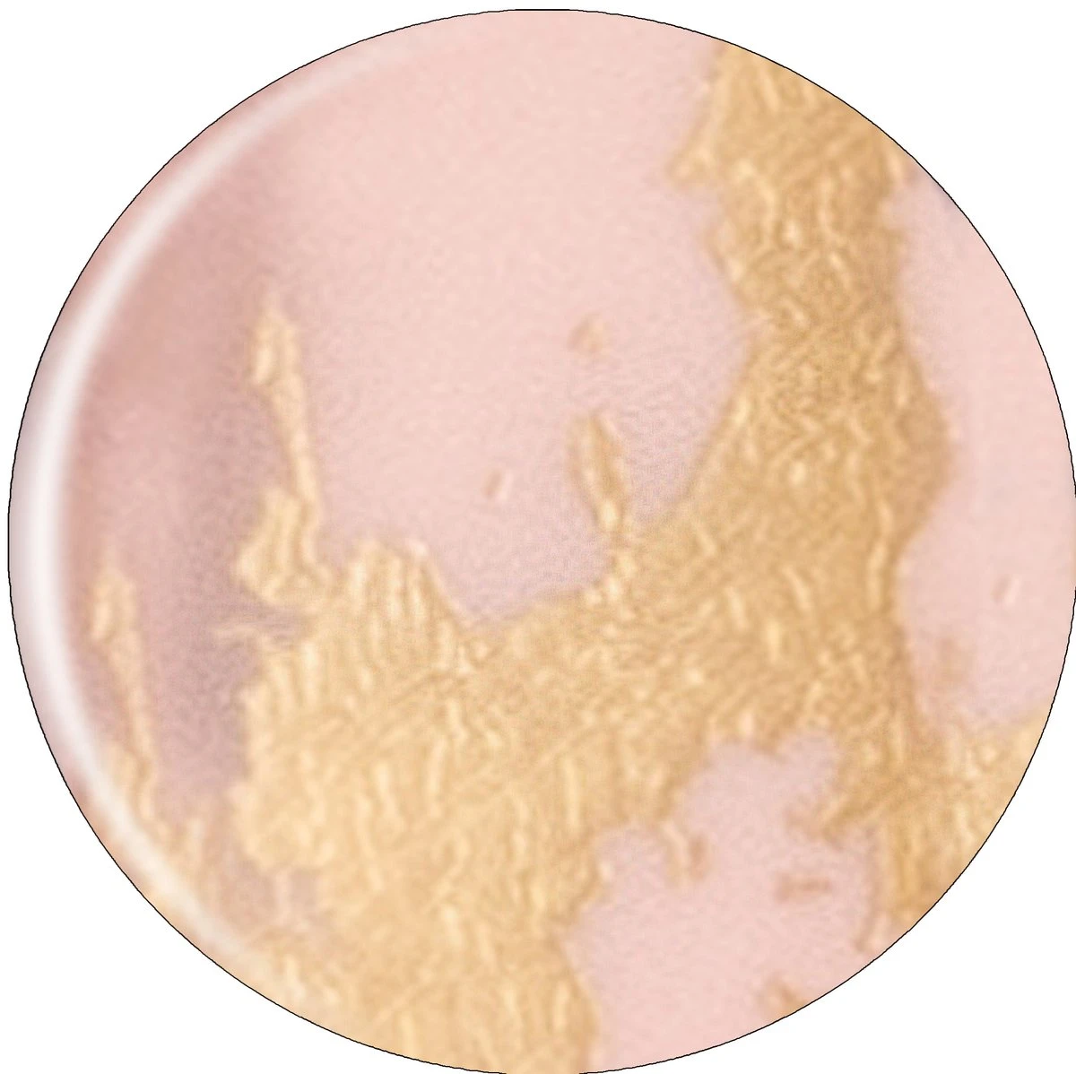 Herome Nail Wraps Starterkit Deluxe - 5 Verschillende Ontwerpen - 5x20 Stickers - Incl. Top Coat 4ml 10 Herome Nail Wraps Starterkit Deluxe - 5 Verschillende Ontwerpen - 5x20 Stickers - Incl. Top Coat 4ml - Afbeelding 8