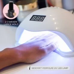 Miss Jules - 6-Delige Gellak Starterspakket - Nagellak - Kleur Paars, Roze & Glitter - Glanzend & Dekkend Resultaat 17 Miss Jules - 6-Delige Gellak Starterspakket - Nagellak - Kleur Paars, Roze & Glitter - Glanzend & Dekkend Resultaat -Cosmetische Kortingen Winkel 1200x1200 1966