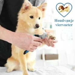 Merkloos Nagelknippper Hond Nagelknipper Kat + E-BOOK - Nagelschaar Hond - Nagelschaar Kat - Honden Nagelknipper - Nagelvijl Hond - Nageltang Hond - Nagelknipper Hond Veiligheidsstop - Nagel Hond - Bwa Commerce -Cosmetische Kortingen Winkel 1200x1200 2331