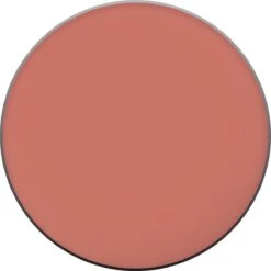L'Oréal Paris True Match Blush - 145 Bois De Rose 41 L'Oréal Paris True Match Blush - 145 Bois De Rose -Cosmetische Kortingen Winkel 1200x1200 395