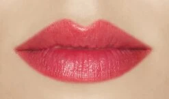 Vichy Naturalblend Lippenbalsem - Rood - 4.5G - Hydrateert -Cosmetische Kortingen Winkel 1200x703 1
