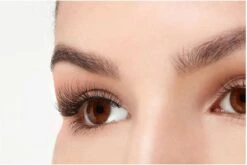 Ardell - Nepwimpers Multipack - Zwart - 5 Sets -Cosmetische Kortingen Winkel 1200x802 5