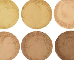 PAVÈZ Mineral Foundation & Concealer | Elite Range | Sunny -Cosmetische Kortingen Winkel 1200x977