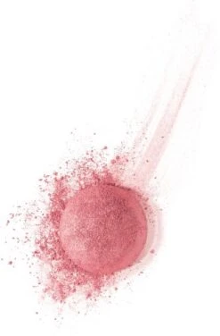 Bourjois Little Rount Pot Blush 095 Rose De Jaspe -Cosmetische Kortingen Winkel 789x1200 1